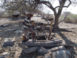 Elephant Sands Lodge Activities