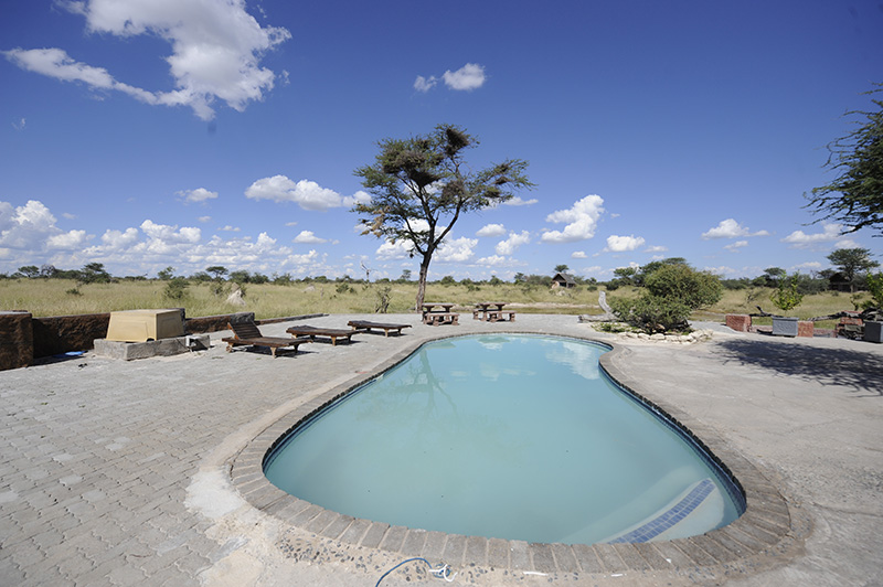 Elephant Sands Lodge