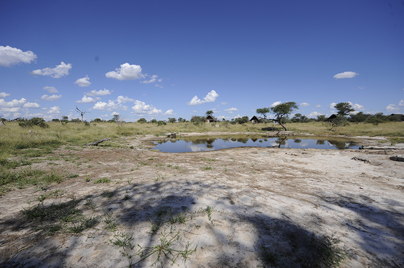 Elephant Sands Lodge