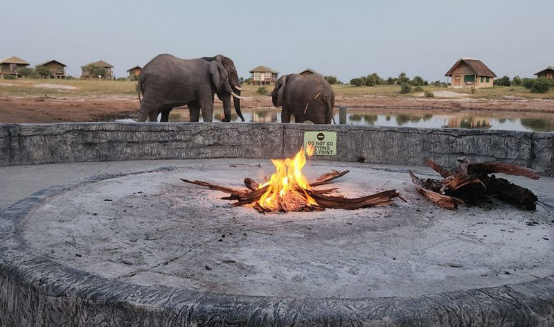Elephant Sands Lodge