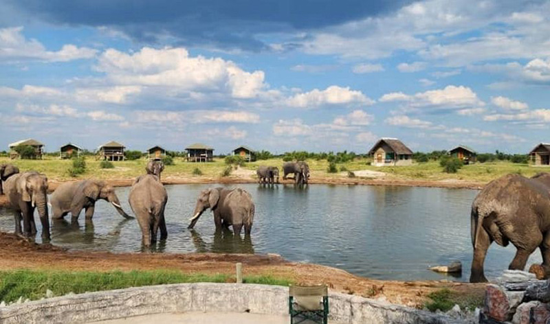 Elephant Sands Lodge